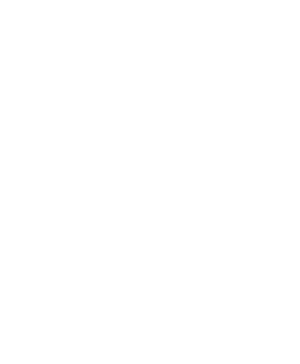 Brute