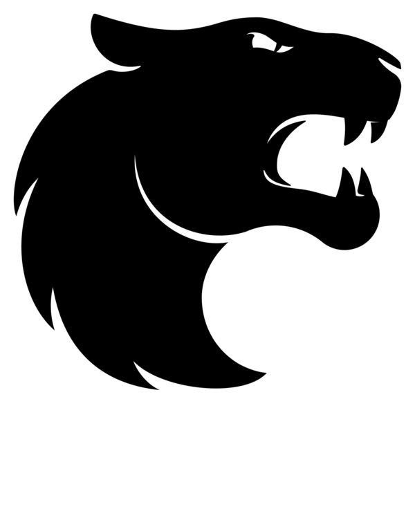 FURIA Esports