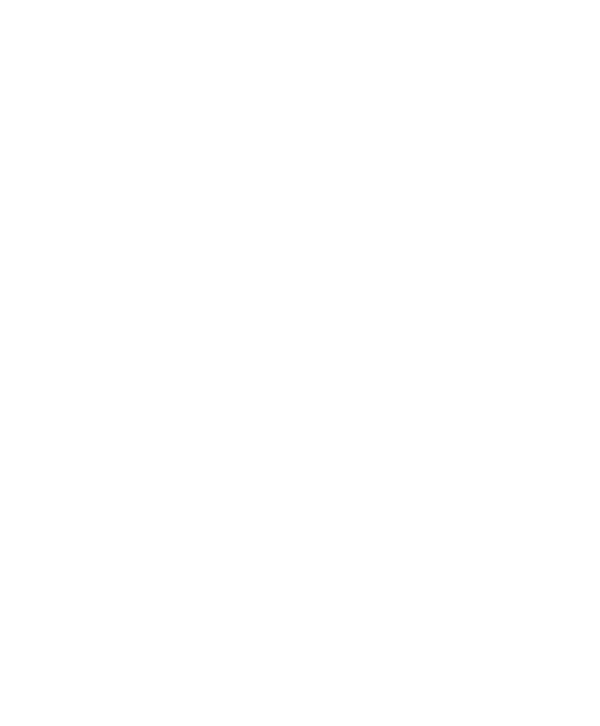 BRUTE
