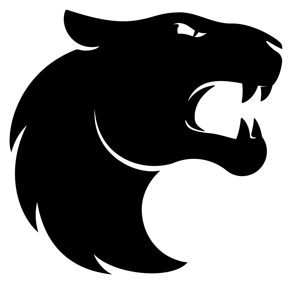 FURIA Esports