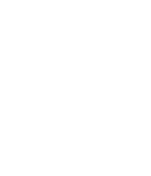 Team Spirit