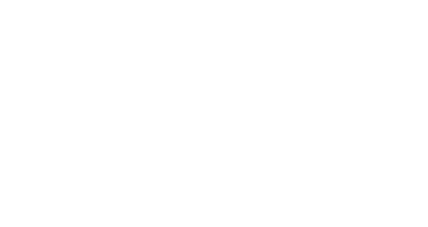 Team Secret Whales