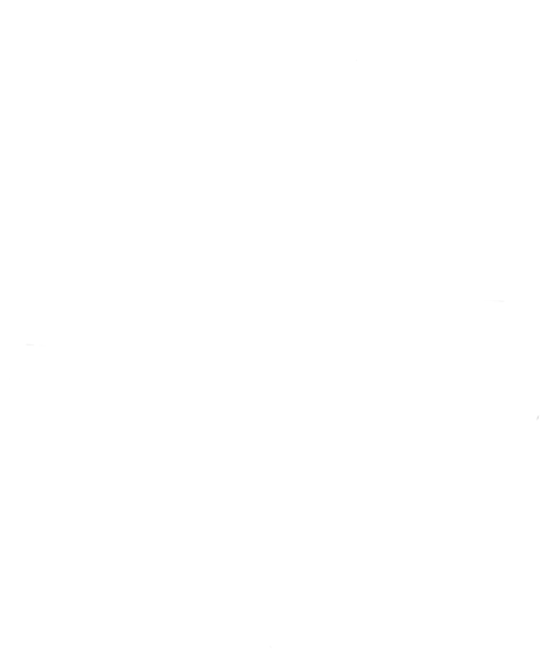 Partizan Sangal