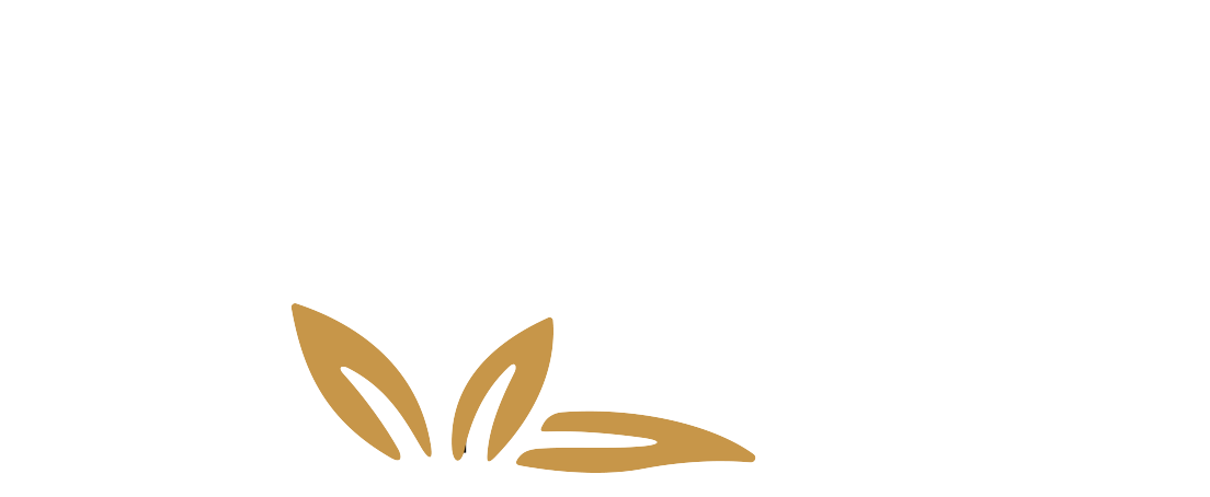 Animus Victoria