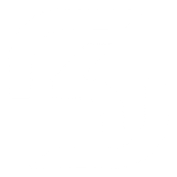 SK Gaming